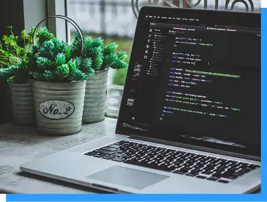 A MacBook displaying code on a desk surrounded by potted succulent plants, showcasing modern web development and workspace organization.